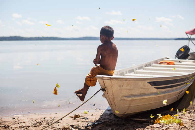 "We will continue to address the issue of illegal mining in Brazil," stated Toya Manchineri, in reference to the ongoing efforts of the government to remove miners from two Munduruku Indigenous territories in Pará state. This will be a long-term effort to protect the rights and land of the Munduruku people