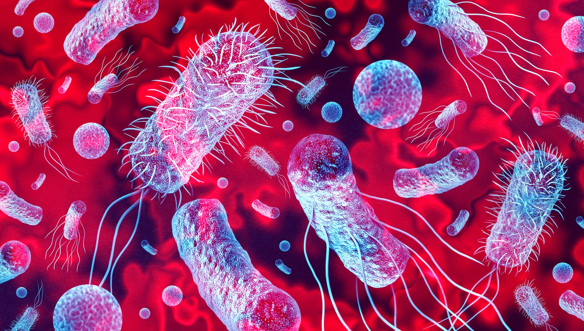 Scientists have discovered a bacterium called Niallia tiangongensis aboard the Tiangong space station. This bacterium seems to be well adapted to the conditions there, but there is no record of it on Earth. Further research is needed to understand its potential impact on human health and the environment